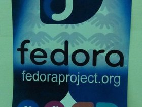 fedora-stand-5.jpg